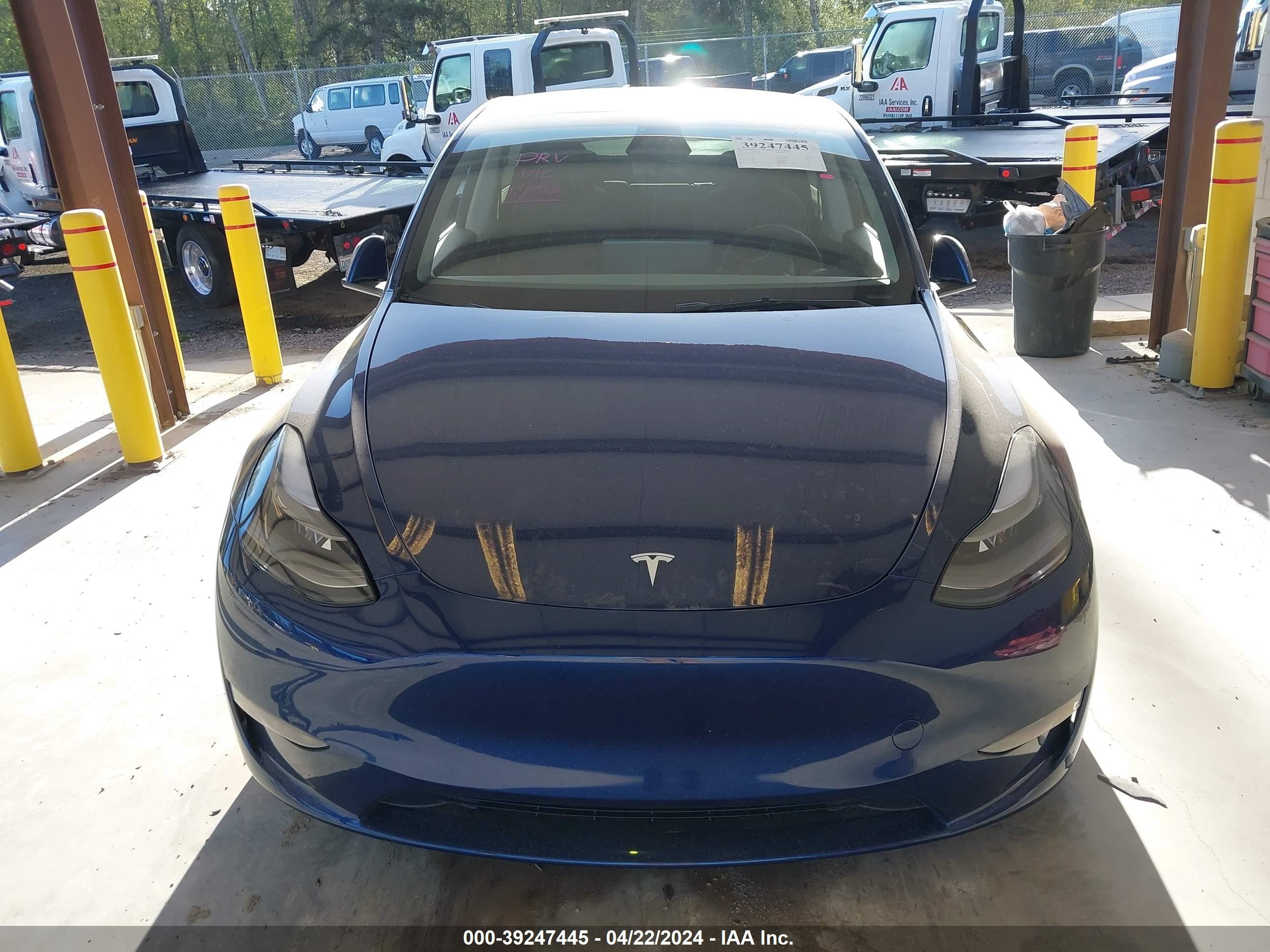 Photo 11 VIN: 7SAYGDEE7RF983819 - TESLA MODEL Y 