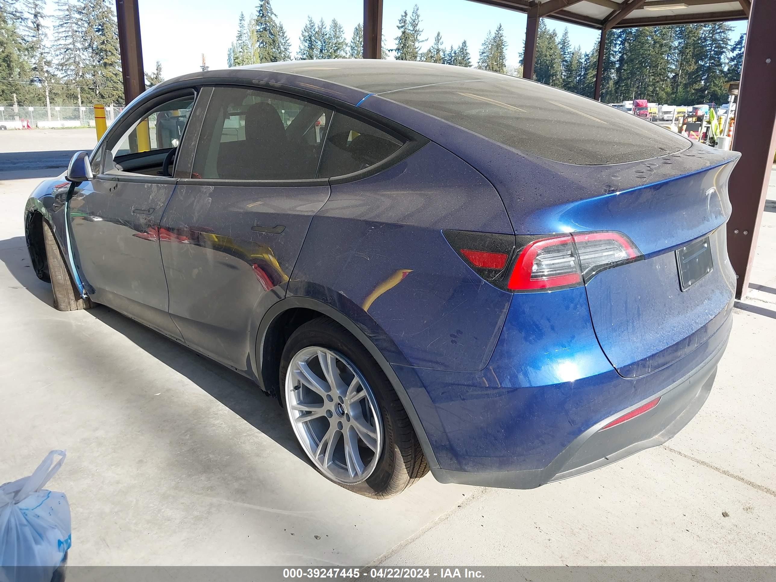 Photo 2 VIN: 7SAYGDEE7RF983819 - TESLA MODEL Y 