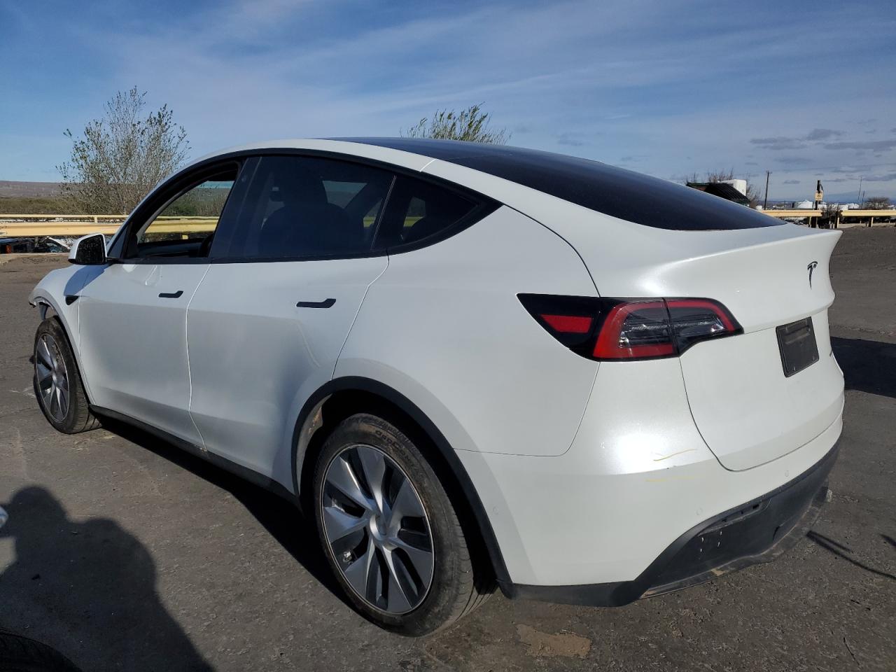 Photo 1 VIN: 7SAYGDEE8NF320074 - TESLA MODEL Y 