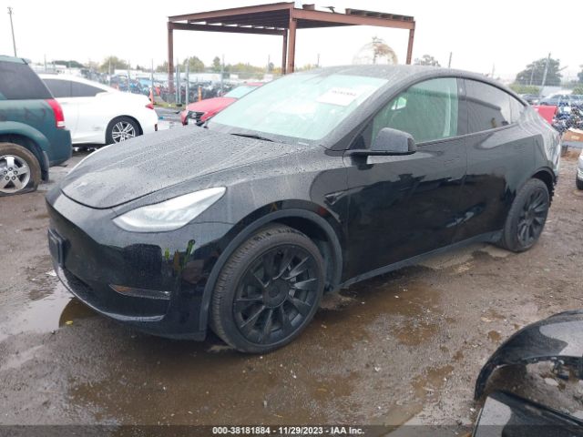 Photo 1 VIN: 7SAYGDEE8NF449612 - TESLA MODEL Y 