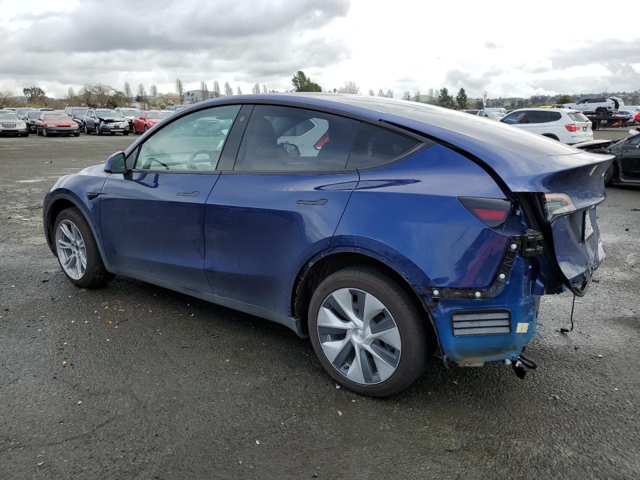 Photo 1 VIN: 7SAYGDEE8NF576490 - TESLA MODEL Y 