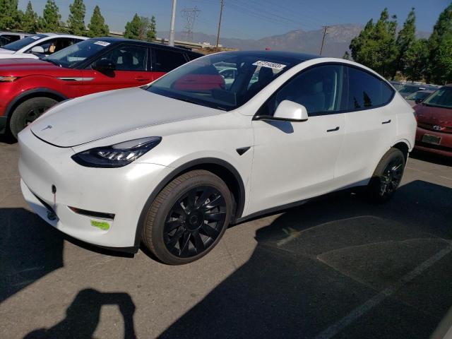 Photo 0 VIN: 7SAYGDEE8PA034435 - TESLA MODEL Y 