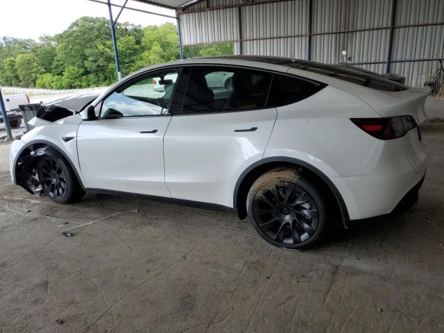 Photo 1 VIN: 7SAYGDEE8PA124717 - TESLA MODEL Y 