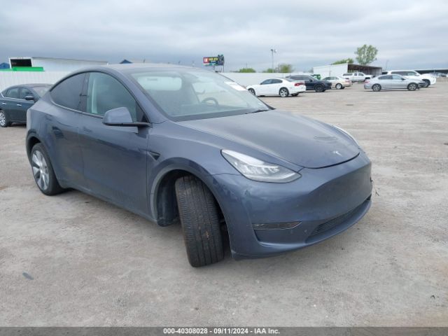 Photo 0 VIN: 7SAYGDEE8PA126564 - TESLA MODEL Y 