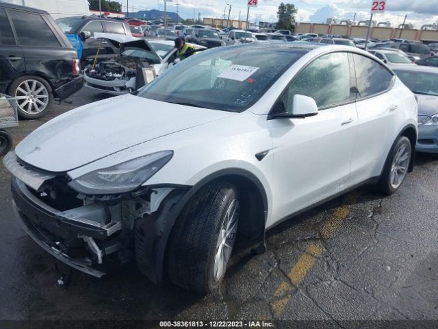 Photo 1 VIN: 7SAYGDEE8PA137046 - TESLA MODEL Y 