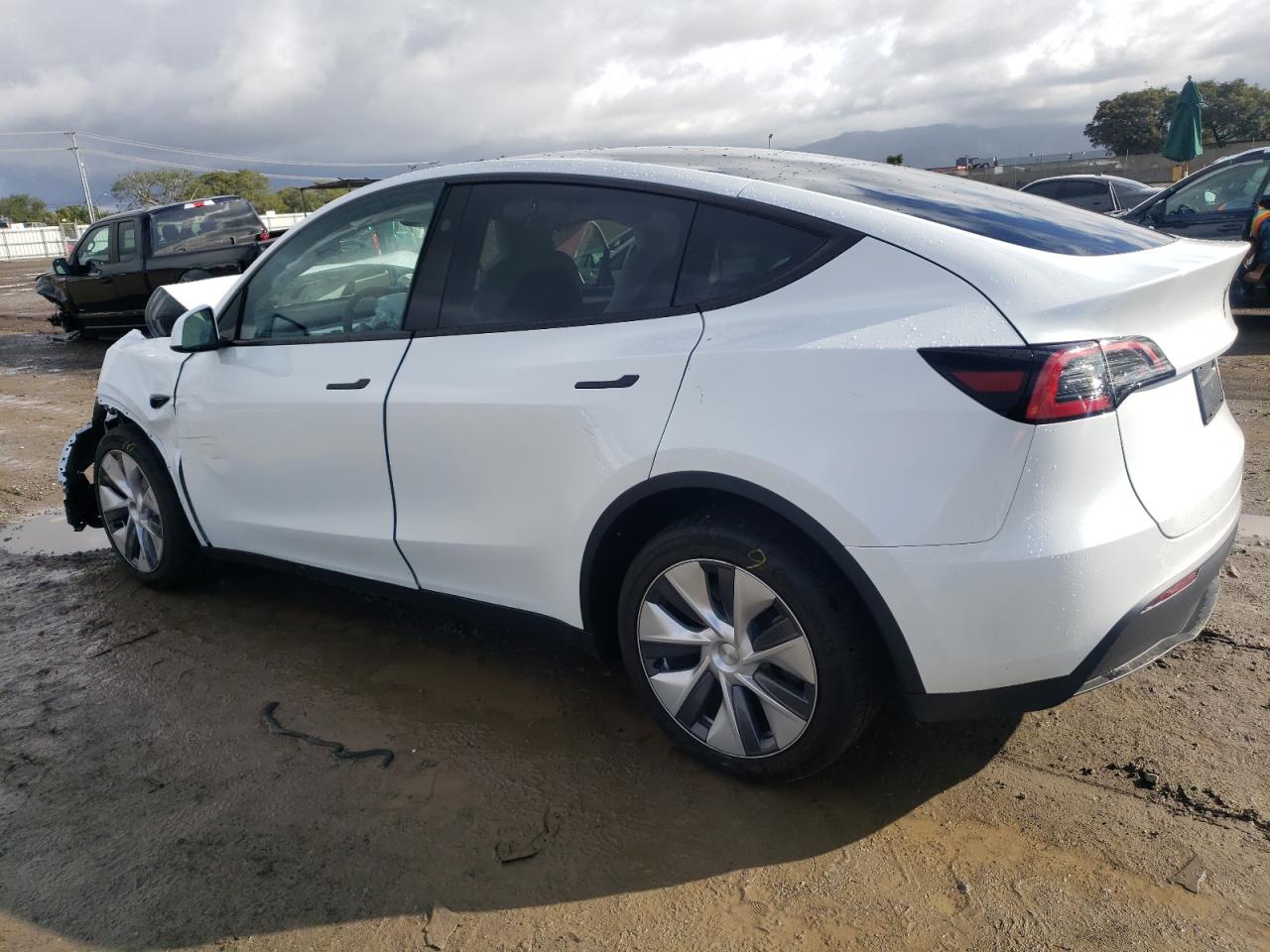 Photo 1 VIN: 7SAYGDEE8PA141596 - TESLA MODEL Y 