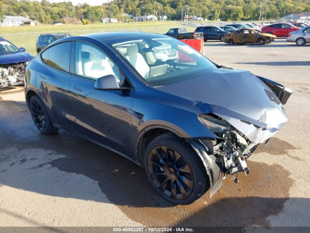 Photo 0 VIN: 7SAYGDEE8PA176557 - TESLA MODEL Y 