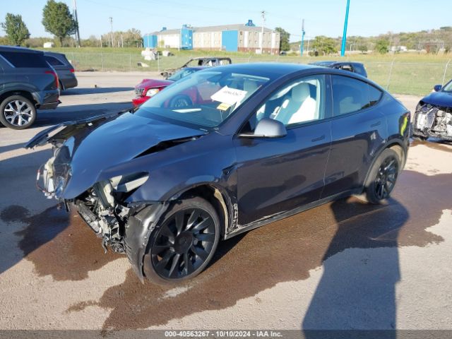 Photo 1 VIN: 7SAYGDEE8PA176557 - TESLA MODEL Y 