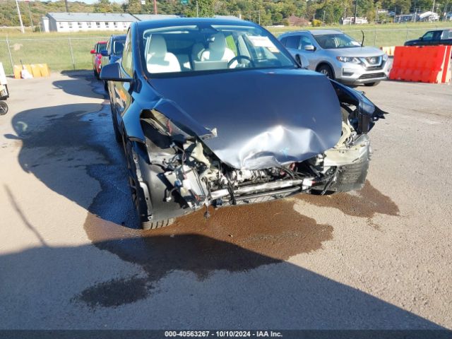 Photo 5 VIN: 7SAYGDEE8PA176557 - TESLA MODEL Y 