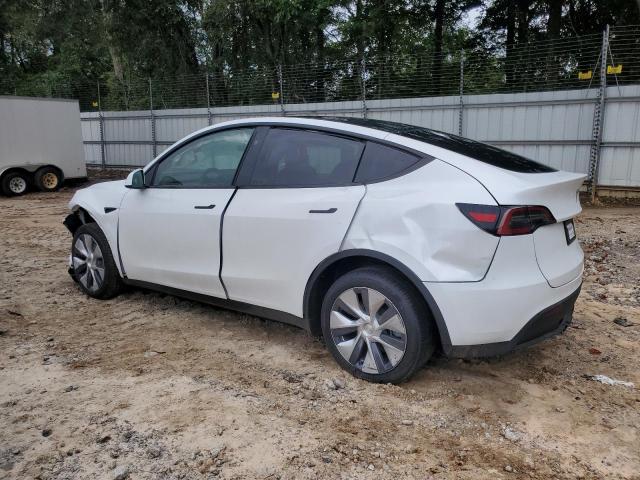 Photo 1 VIN: 7SAYGDEE8PA187901 - TESLA MODEL Y 