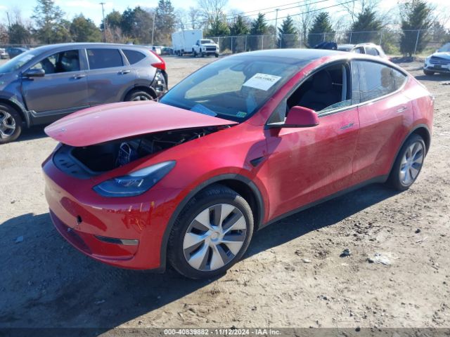 Photo 1 VIN: 7SAYGDEE8PA211081 - TESLA MODEL Y 