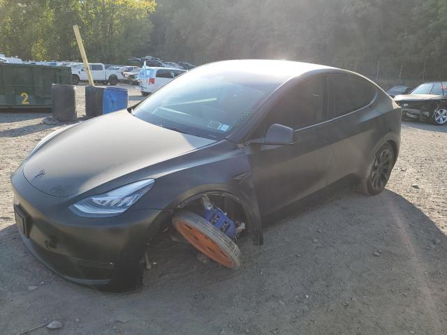 Photo 0 VIN: 7SAYGDEE8PF602329 - TESLA MODEL Y 