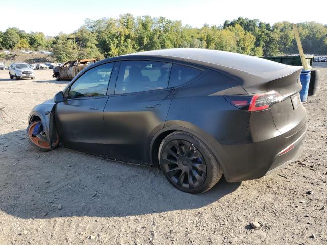 Photo 1 VIN: 7SAYGDEE8PF602329 - TESLA MODEL Y 