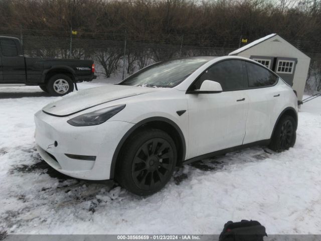 Photo 1 VIN: 7SAYGDEE8PF754207 - TESLA MODEL Y 