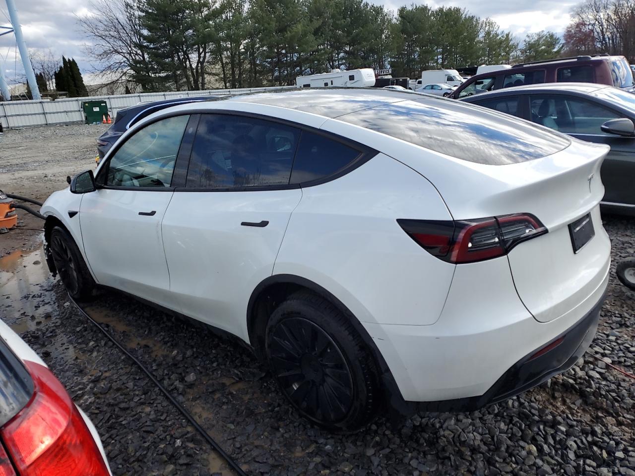 Photo 1 VIN: 7SAYGDEE8PF756832 - TESLA MODEL Y 