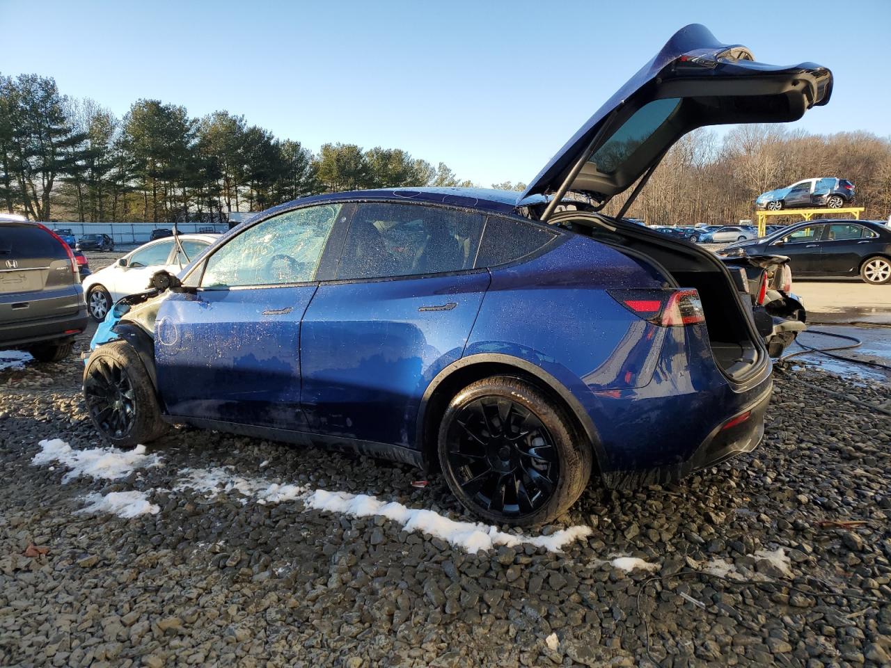 Photo 1 VIN: 7SAYGDEE8PF764235 - TESLA MODEL Y 