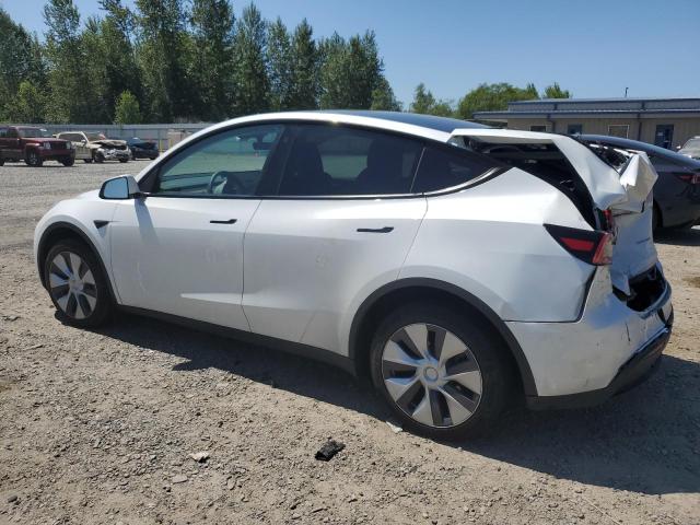 Photo 1 VIN: 7SAYGDEE8PF764543 - TESLA MODEL Y 