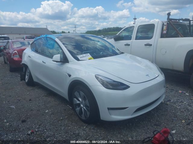 Photo 0 VIN: 7SAYGDEE8PF797316 - TESLA MODEL Y 