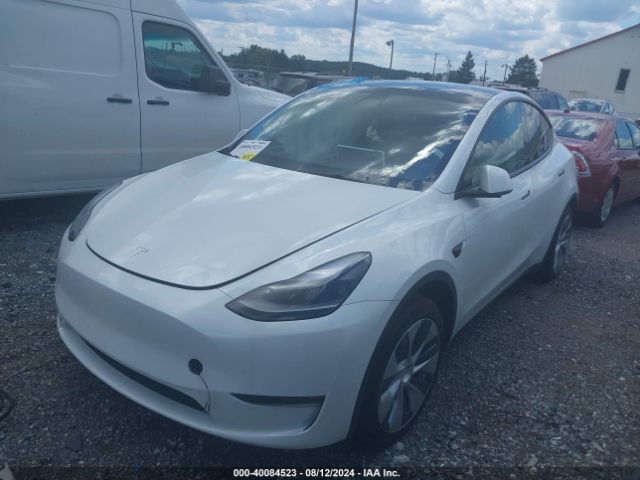 Photo 1 VIN: 7SAYGDEE8PF797316 - TESLA MODEL Y 