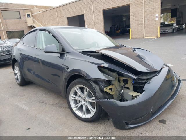 Photo 0 VIN: 7SAYGDEE8PF825728 - TESLA MODEL Y 