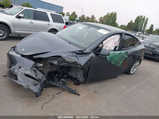 Photo 1 VIN: 7SAYGDEE8PF825728 - TESLA MODEL Y 