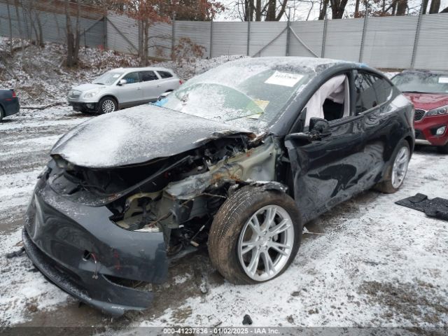 Photo 1 VIN: 7SAYGDEE8RF084001 - TESLA MODEL Y 