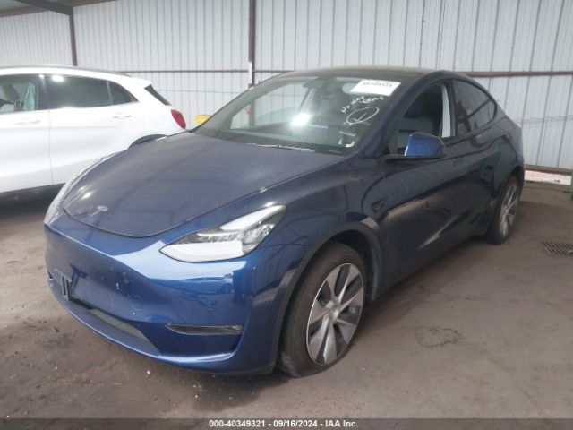 Photo 1 VIN: 7SAYGDEE9NF344982 - TESLA MODEL Y 