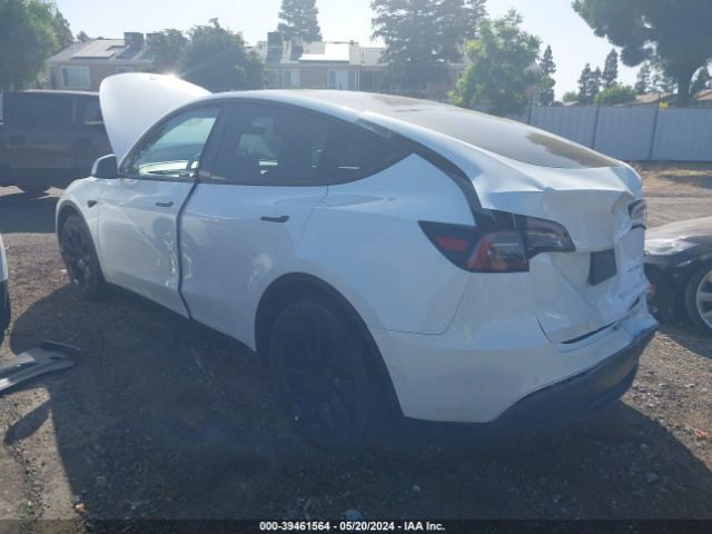 Photo 2 VIN: 7SAYGDEE9NF385869 - TESLA MODEL Y 