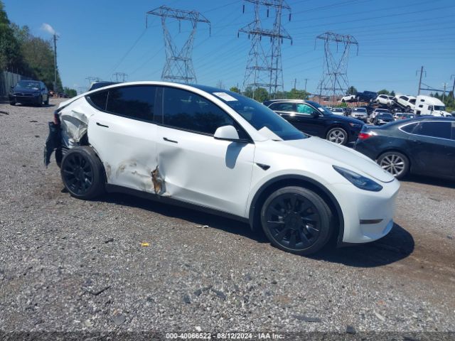 Photo 0 VIN: 7SAYGDEE9NF427408 - TESLA MODEL Y 