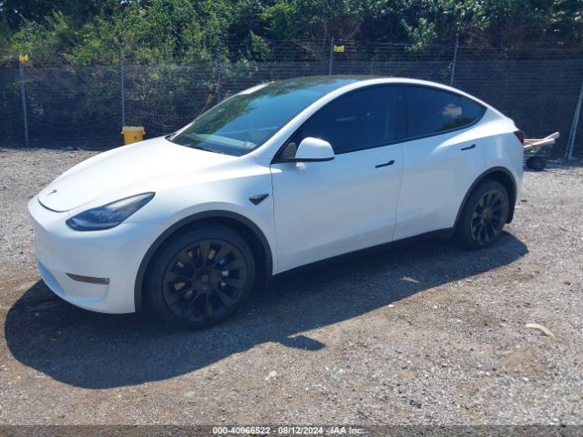 Photo 1 VIN: 7SAYGDEE9NF427408 - TESLA MODEL Y 