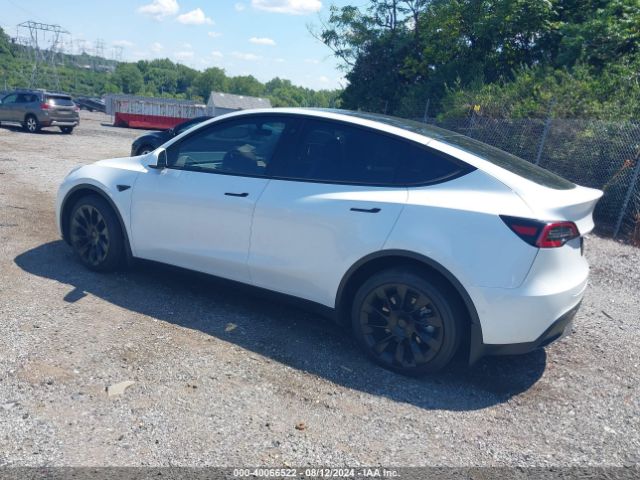 Photo 2 VIN: 7SAYGDEE9NF427408 - TESLA MODEL Y 