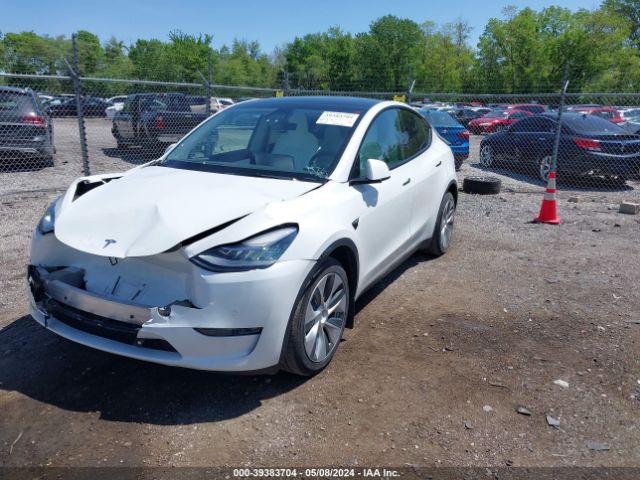 Photo 1 VIN: 7SAYGDEE9NF439994 - TESLA MODEL Y 