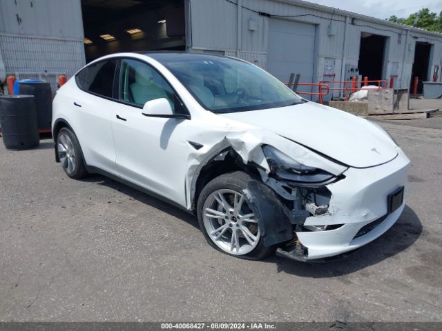 Photo 0 VIN: 7SAYGDEE9NF520378 - TESLA MODEL Y 