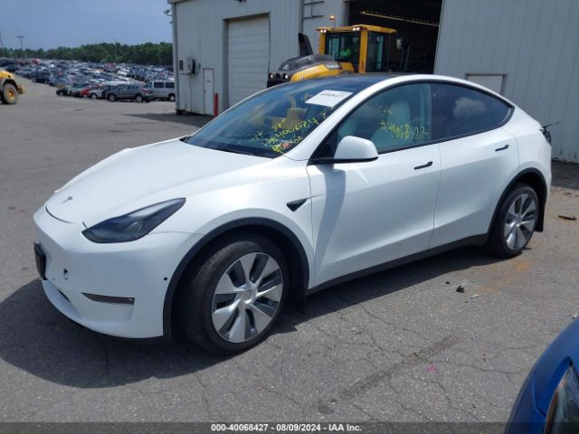 Photo 1 VIN: 7SAYGDEE9NF520378 - TESLA MODEL Y 