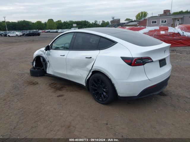 Photo 2 VIN: 7SAYGDEE9PA071235 - TESLA MODEL Y 