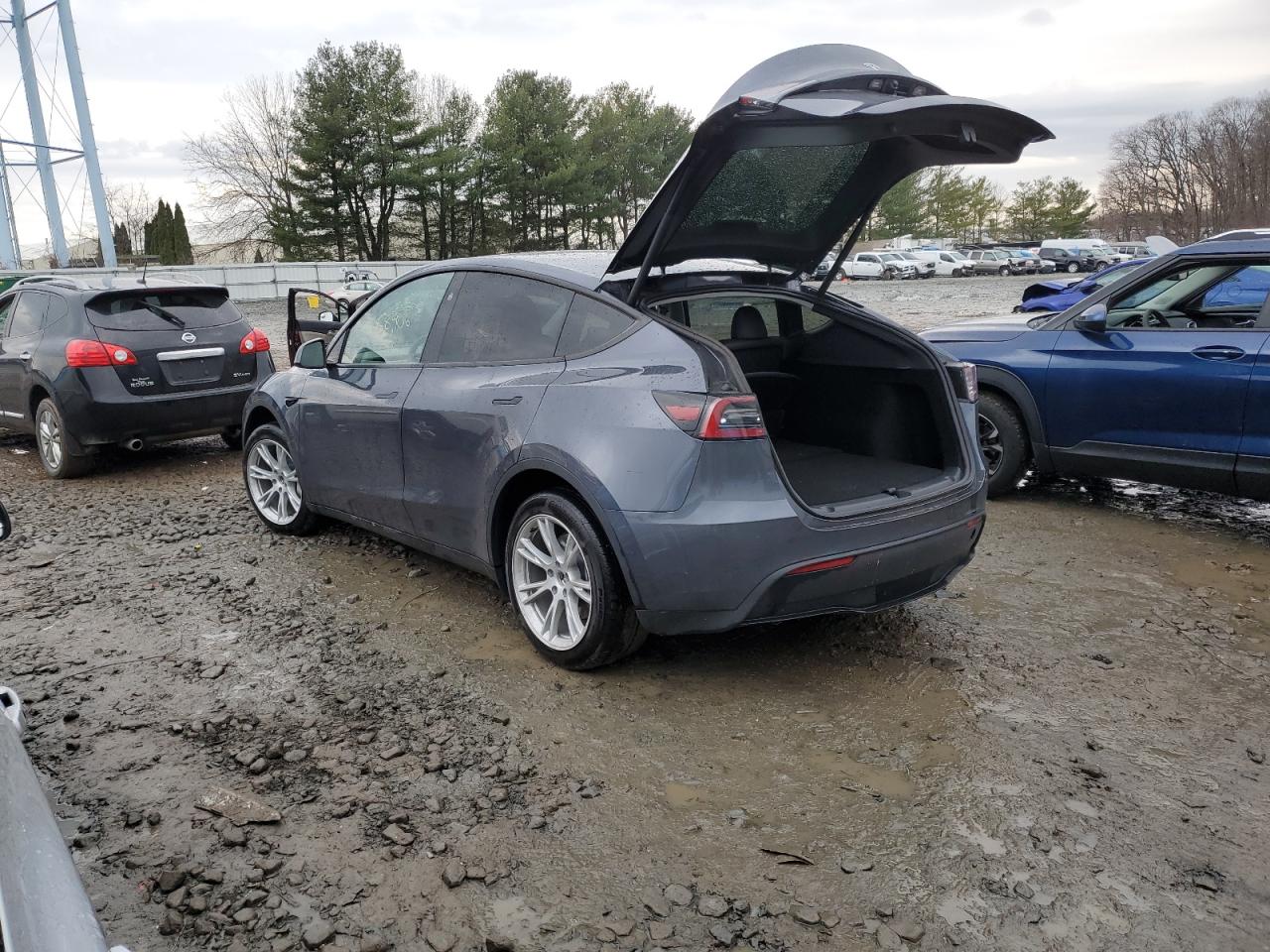 Photo 1 VIN: 7SAYGDEE9PA156785 - TESLA MODEL Y 