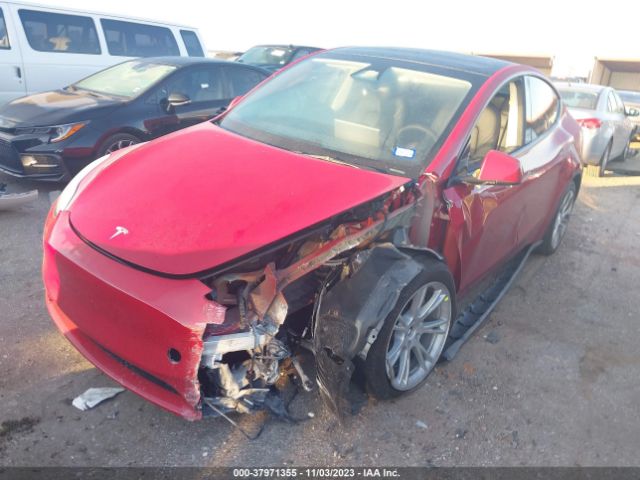 Photo 1 VIN: 7SAYGDEE9PA160674 - TESLA MODEL Y 