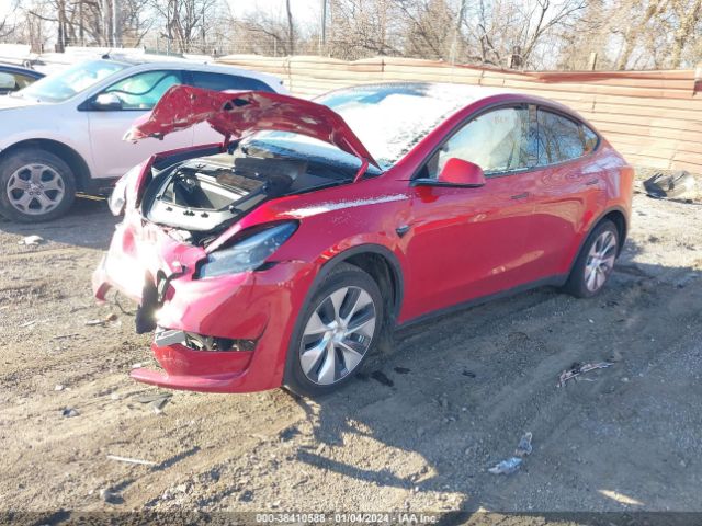 Photo 1 VIN: 7SAYGDEE9PF596153 - TESLA MODEL Y 