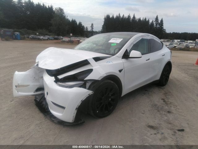 Photo 1 VIN: 7SAYGDEE9PF627465 - TESLA MODEL Y 