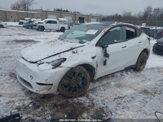 Photo 1 VIN: 7SAYGDEE9PF675922 - TESLA MODEL Y 