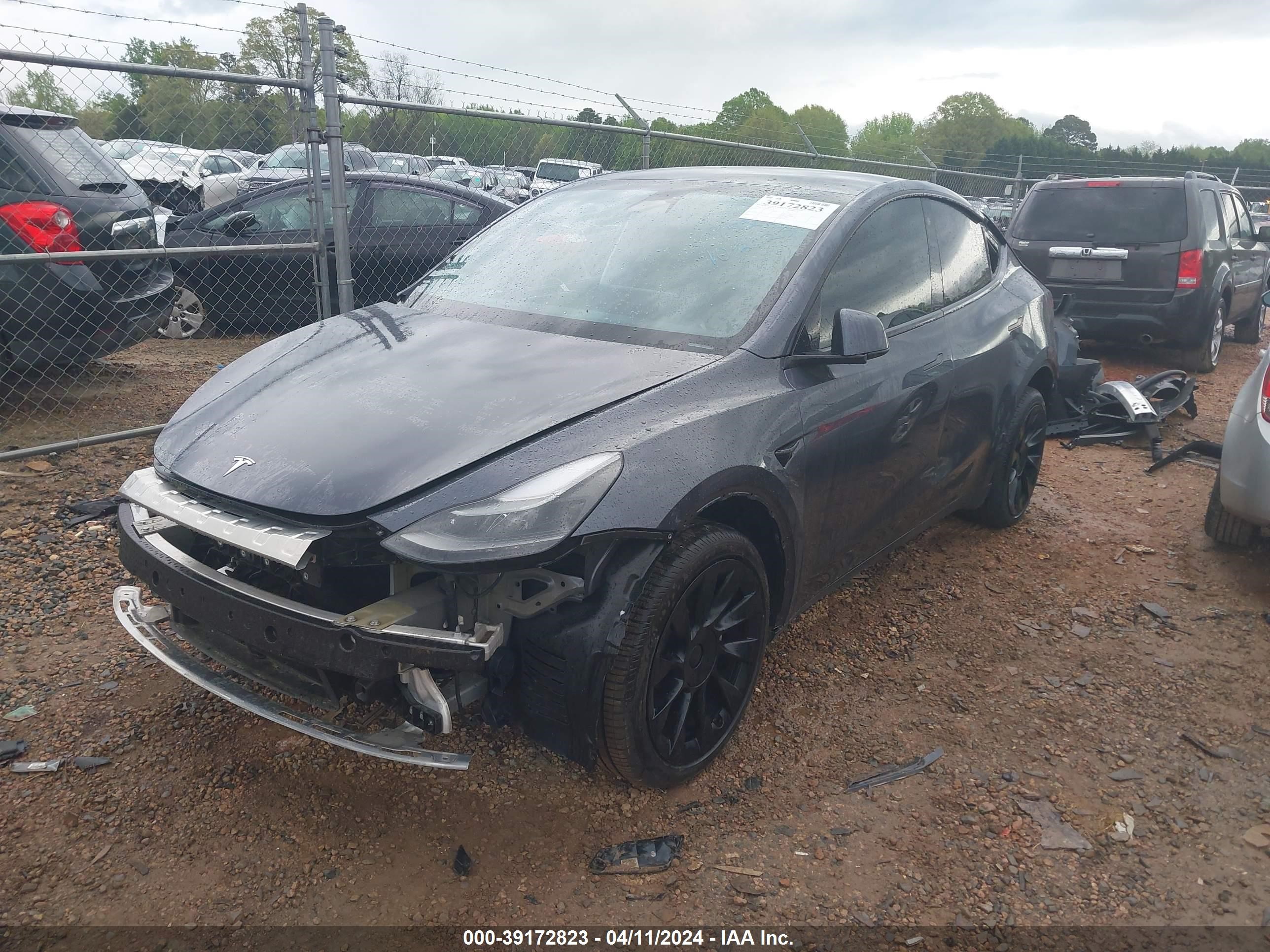 Photo 1 VIN: 7SAYGDEE9PF759528 - TESLA MODEL Y 