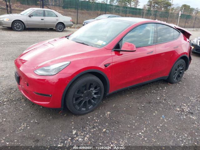 Photo 1 VIN: 7SAYGDEE9PF851688 - TESLA MODEL Y 