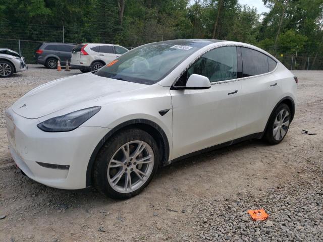 Photo 0 VIN: 7SAYGDEE9PF869947 - TESLA MODEL Y 