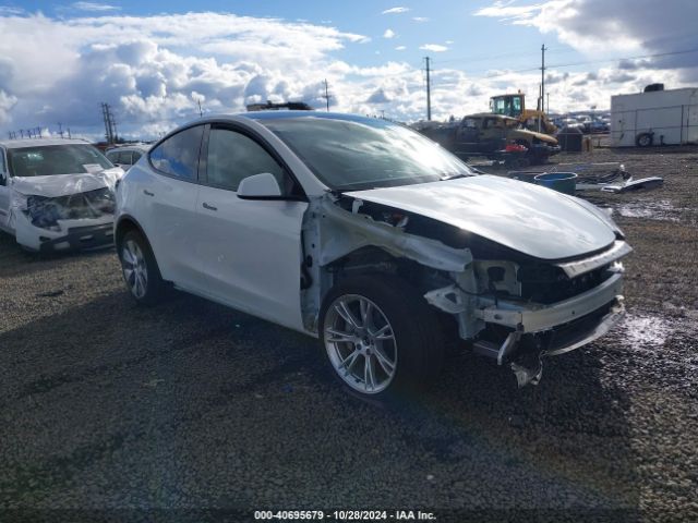 VIN: 7SAYGDEE9PF908388 - tesla model y