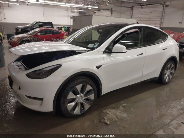 Photo 1 VIN: 7SAYGDEE9RA228569 - TESLA MODEL Y 