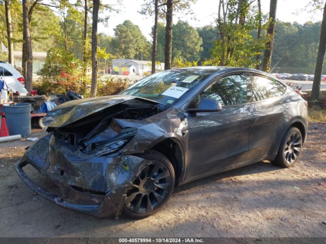 Photo 1 VIN: 7SAYGDEE9RA243556 - TESLA MODEL Y 