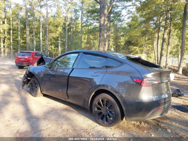 Photo 2 VIN: 7SAYGDEE9RA243556 - TESLA MODEL Y 