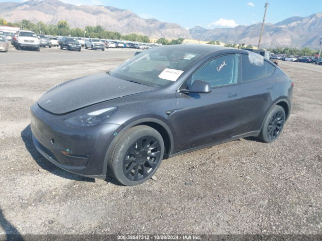 Photo 1 VIN: 7SAYGDEE9RA249681 - TESLA MODEL Y 