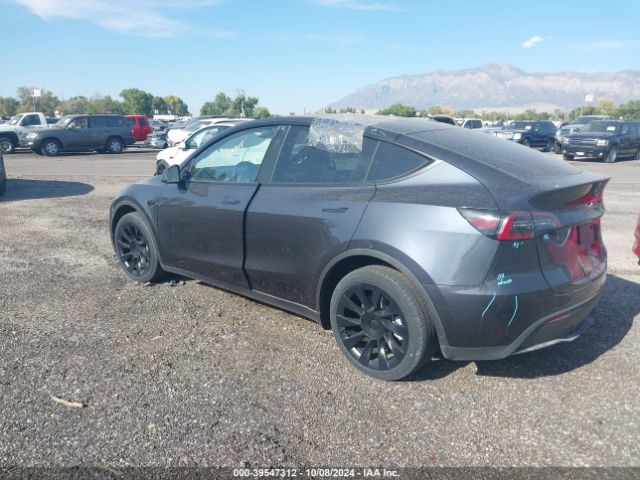 Photo 2 VIN: 7SAYGDEE9RA249681 - TESLA MODEL Y 