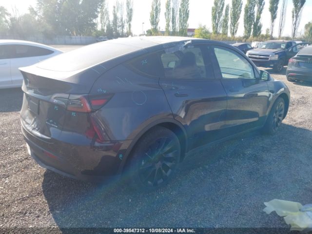 Photo 3 VIN: 7SAYGDEE9RA249681 - TESLA MODEL Y 